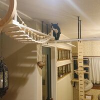 画像1442：吹き抜けを猫さんのアスレチックに！