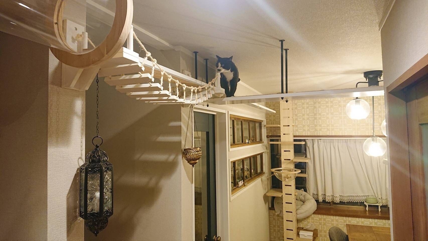 吹き抜けを猫さんのアスレチックに！
