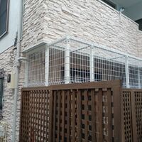 画像1456：吹き抜けを猫さんのアスレチックに！