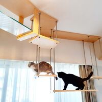 画像1458：吹き抜けを猫さんのアスレチックに！