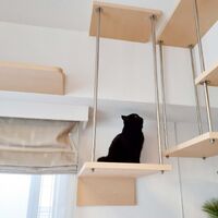 画像1507：吹き抜けを猫さんのアスレチックに！