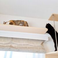 画像1508：吹き抜けを猫さんのアスレチックに！