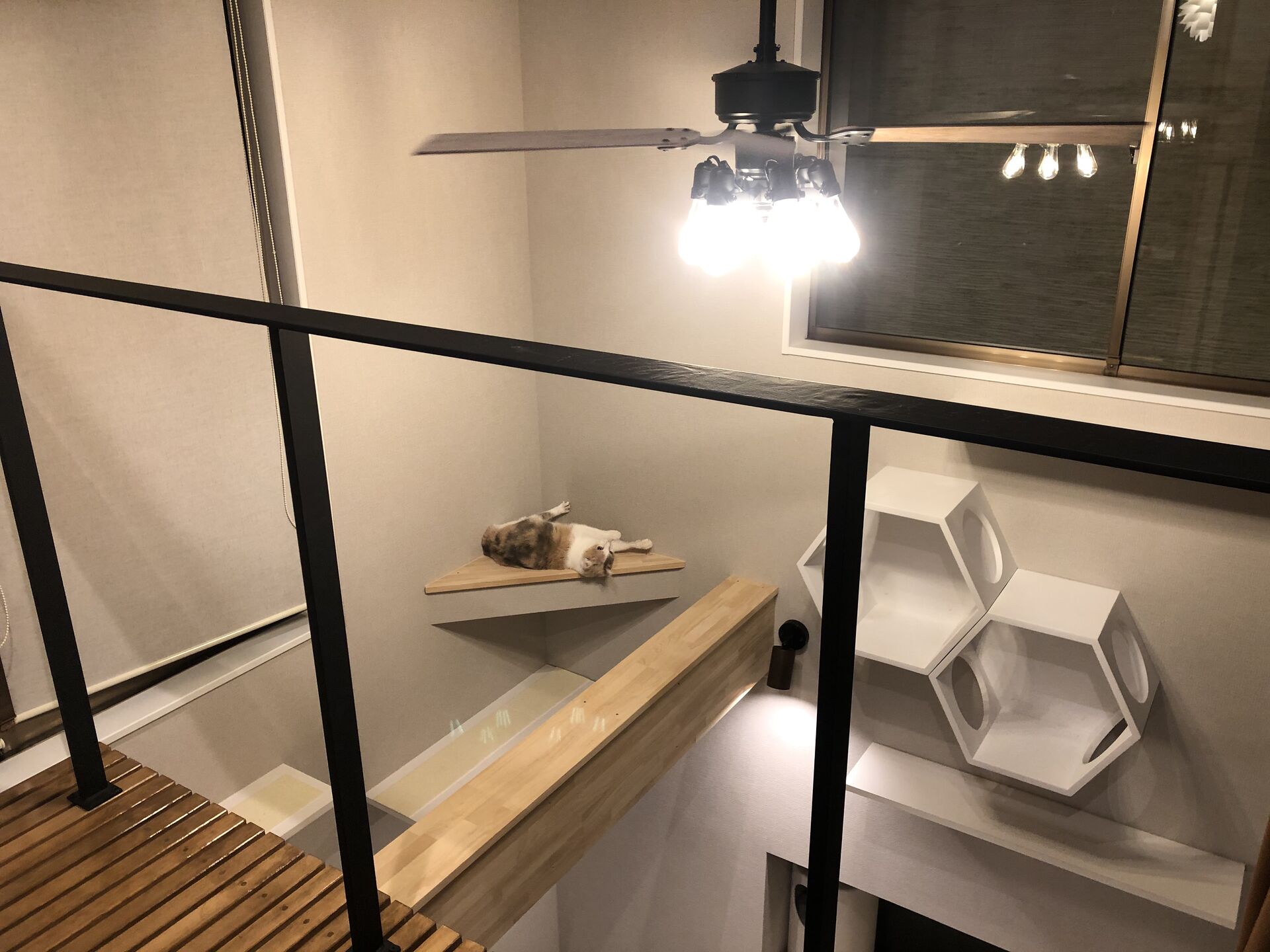 吹き抜けを猫さんのアスレチックに！