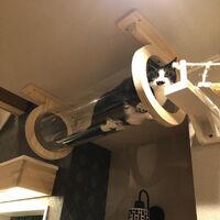 画像1521：吹き抜けを猫さんのアスレチックに！