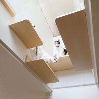 画像1525：吹き抜けを猫さんのアスレチックに！