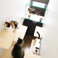 画像1526：吹き抜けを猫さんのアスレチックに！