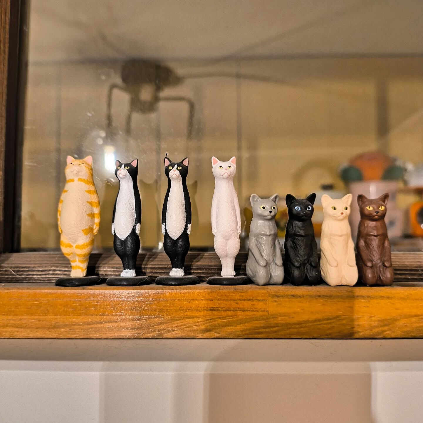 猫コレクションどんどん増えます🐱