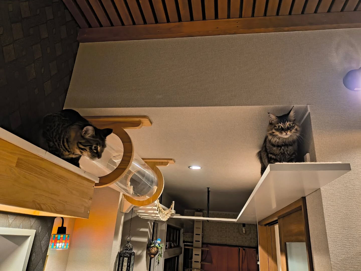 購入したキャットウォークを取り付けするには？