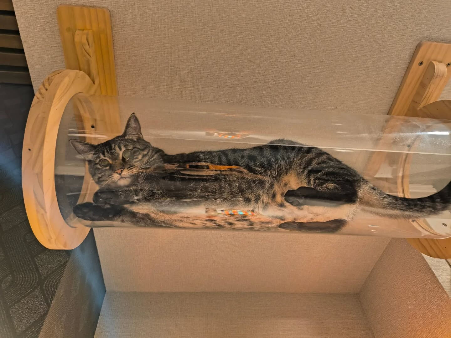 購入したキャットウォークを取り付けするには？