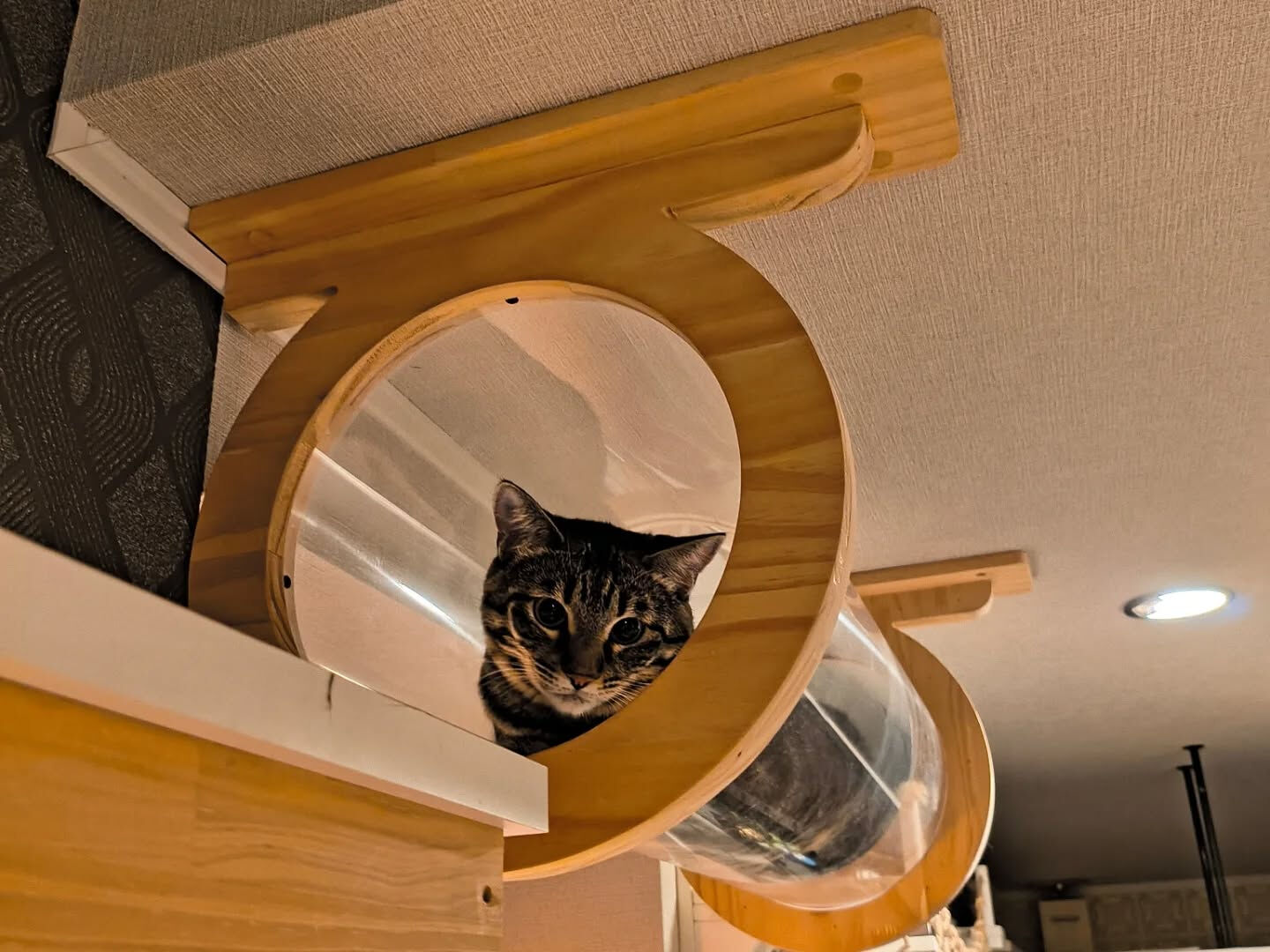 購入したキャットウォークを取り付けするには？