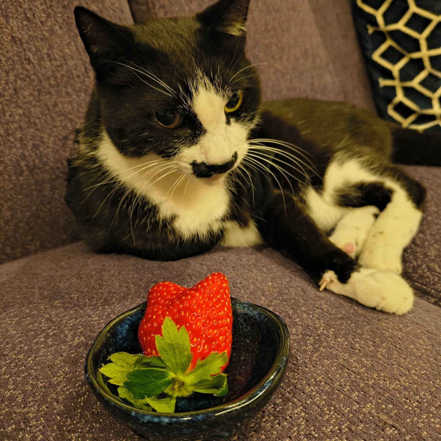 寒い時期の楽しみといえば苺ですね🍓