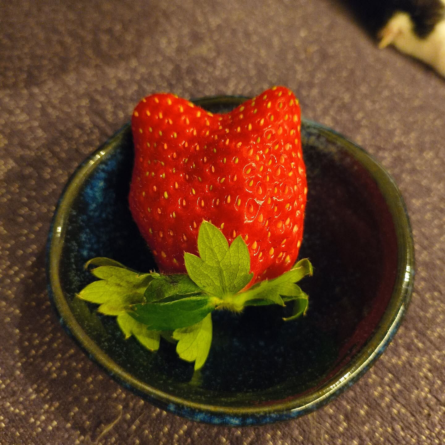 寒い時期の楽しみといえば苺ですね🍓