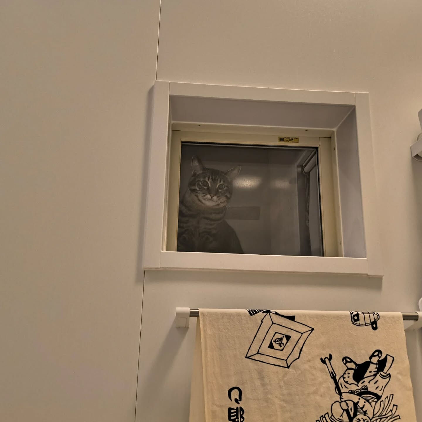 覗かれている⋯？