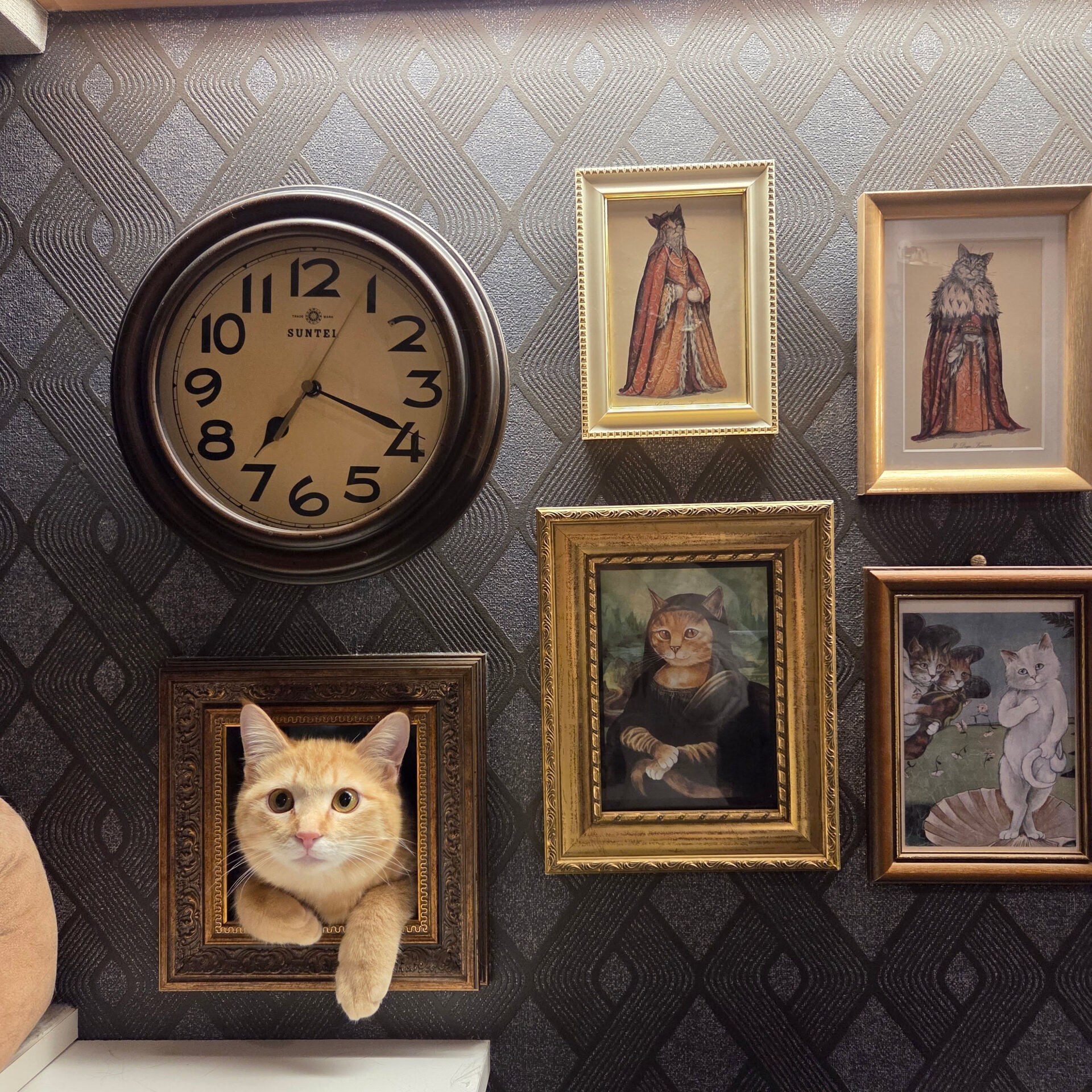 絵画かと思ったら本物の猫🐱
