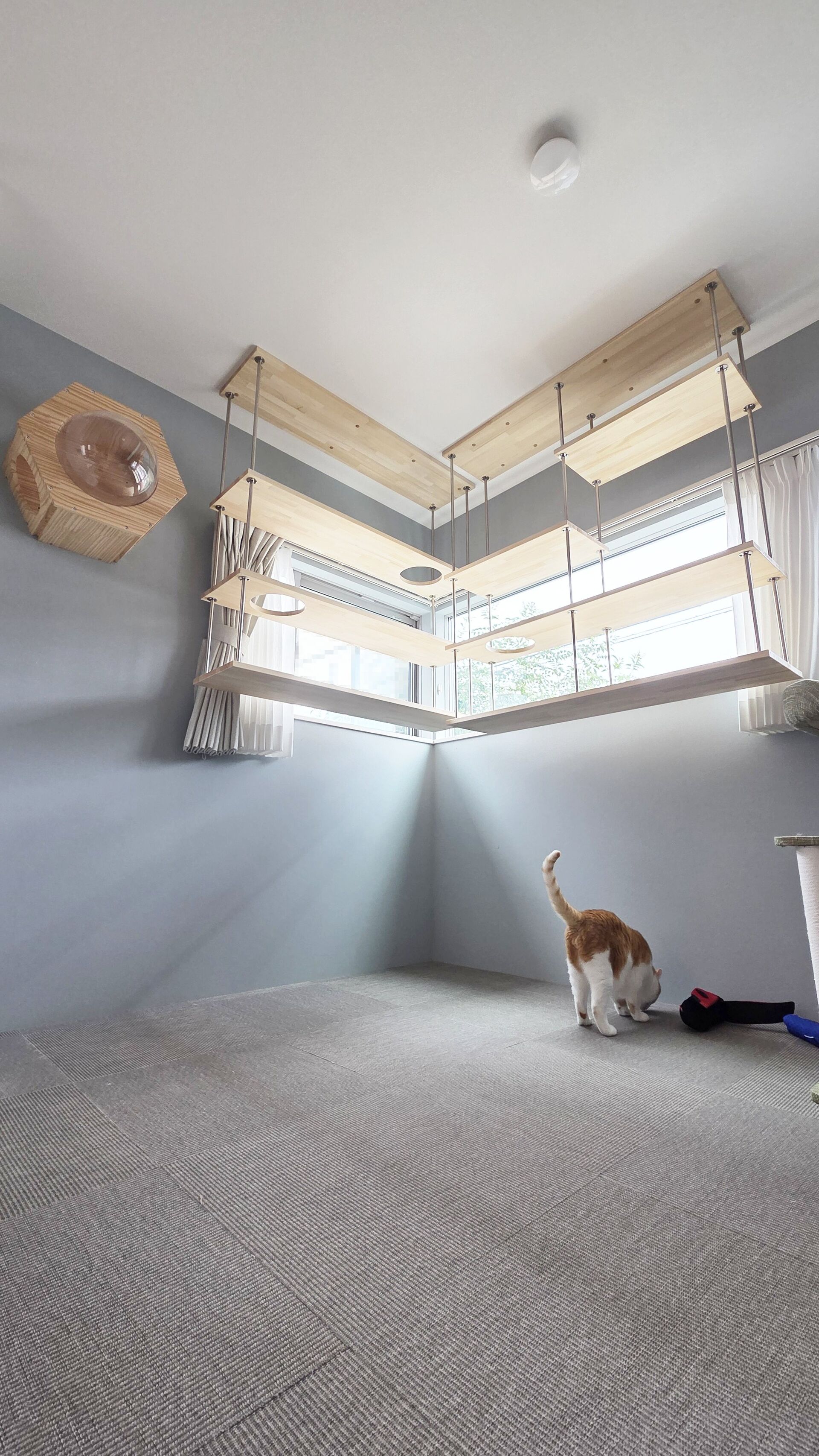 猫さんが喜ぶキャットウォークを市販品で
