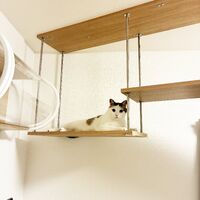 画像1976：猫さんが喜ぶキャットウォークを市販品で