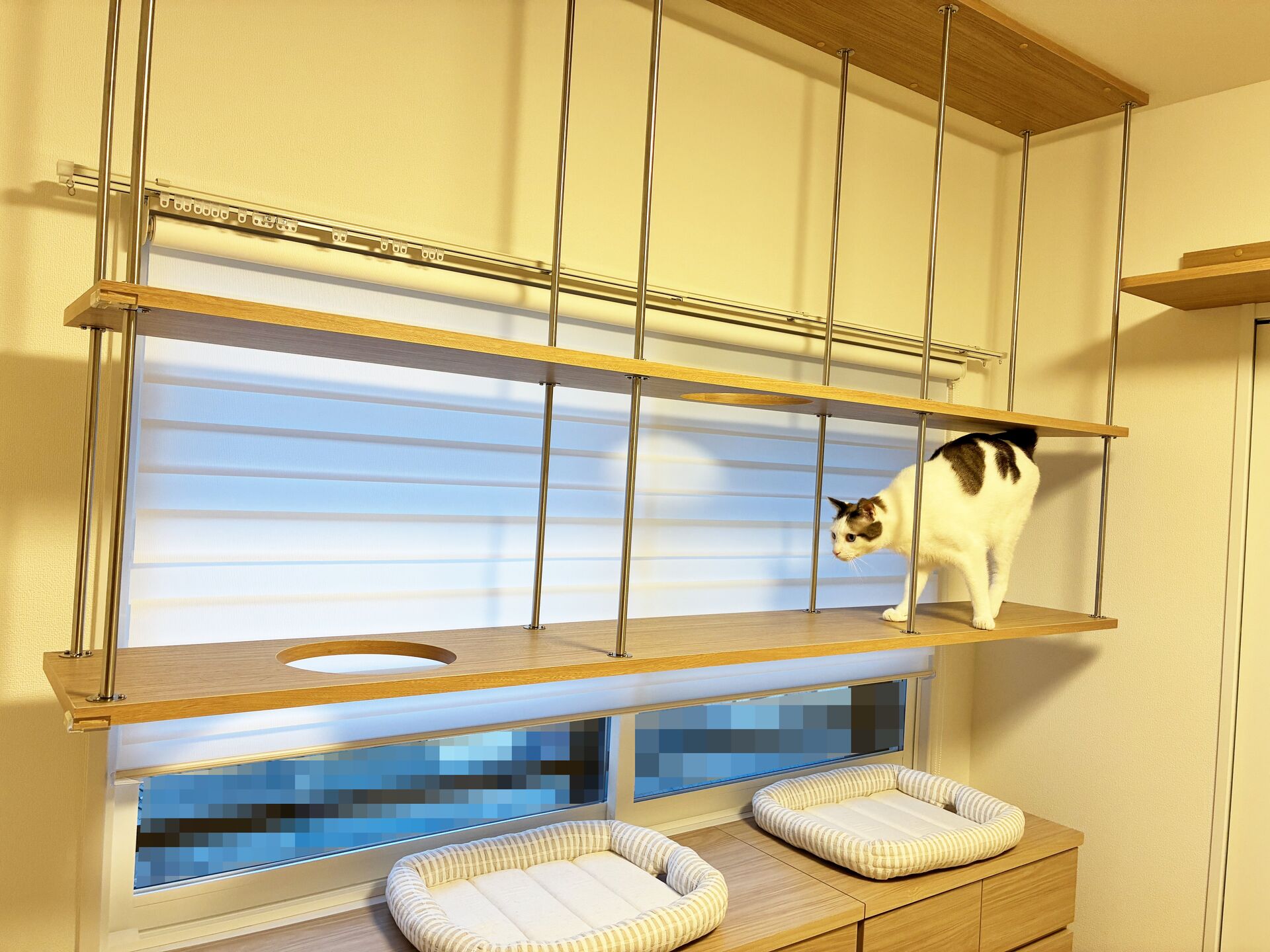 猫さんが喜ぶキャットウォークを市販品で