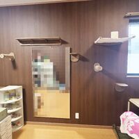 画像1985：猫さんが喜ぶキャットウォークを市販品で