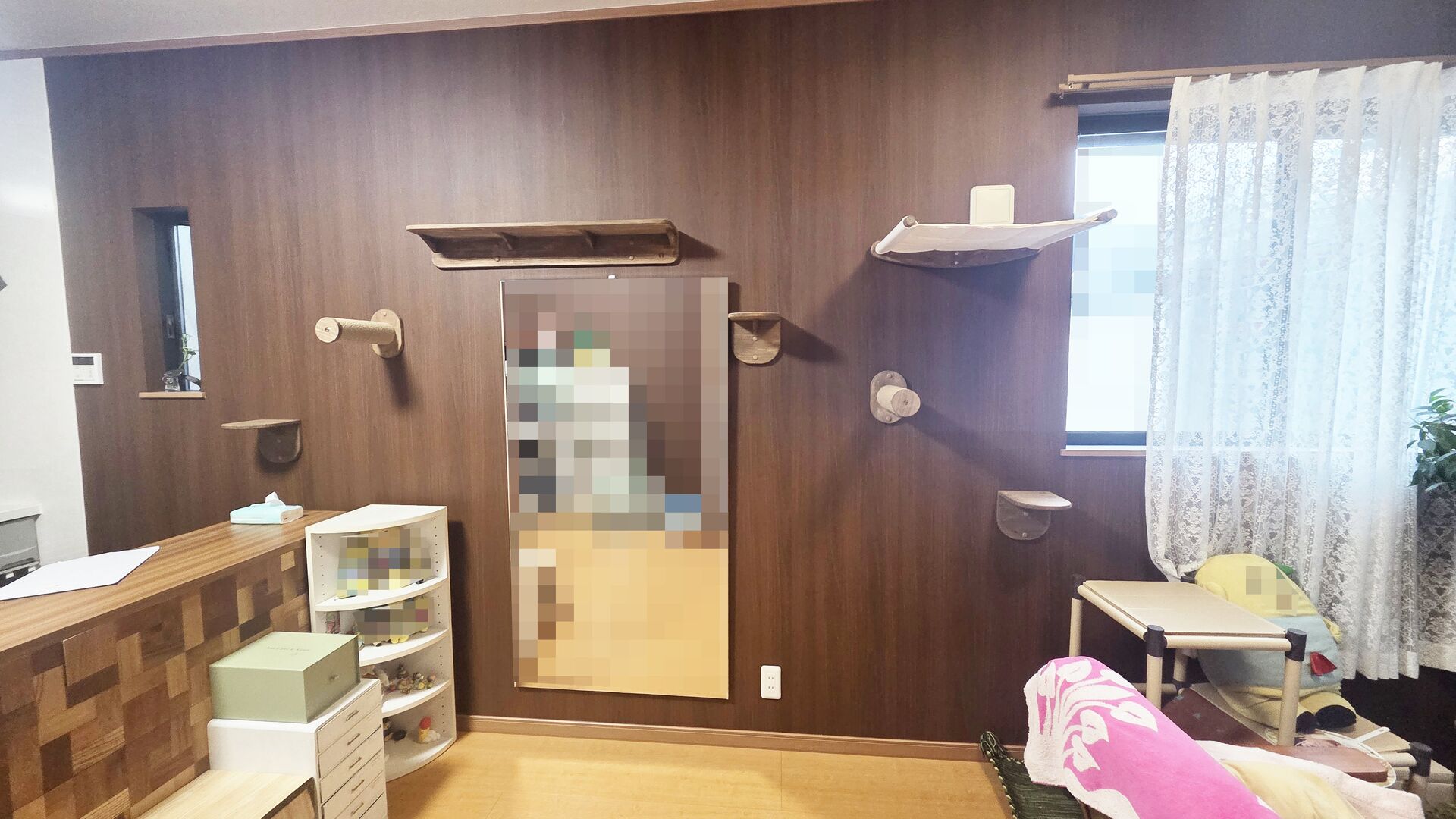 猫さんが喜ぶキャットウォークを市販品で