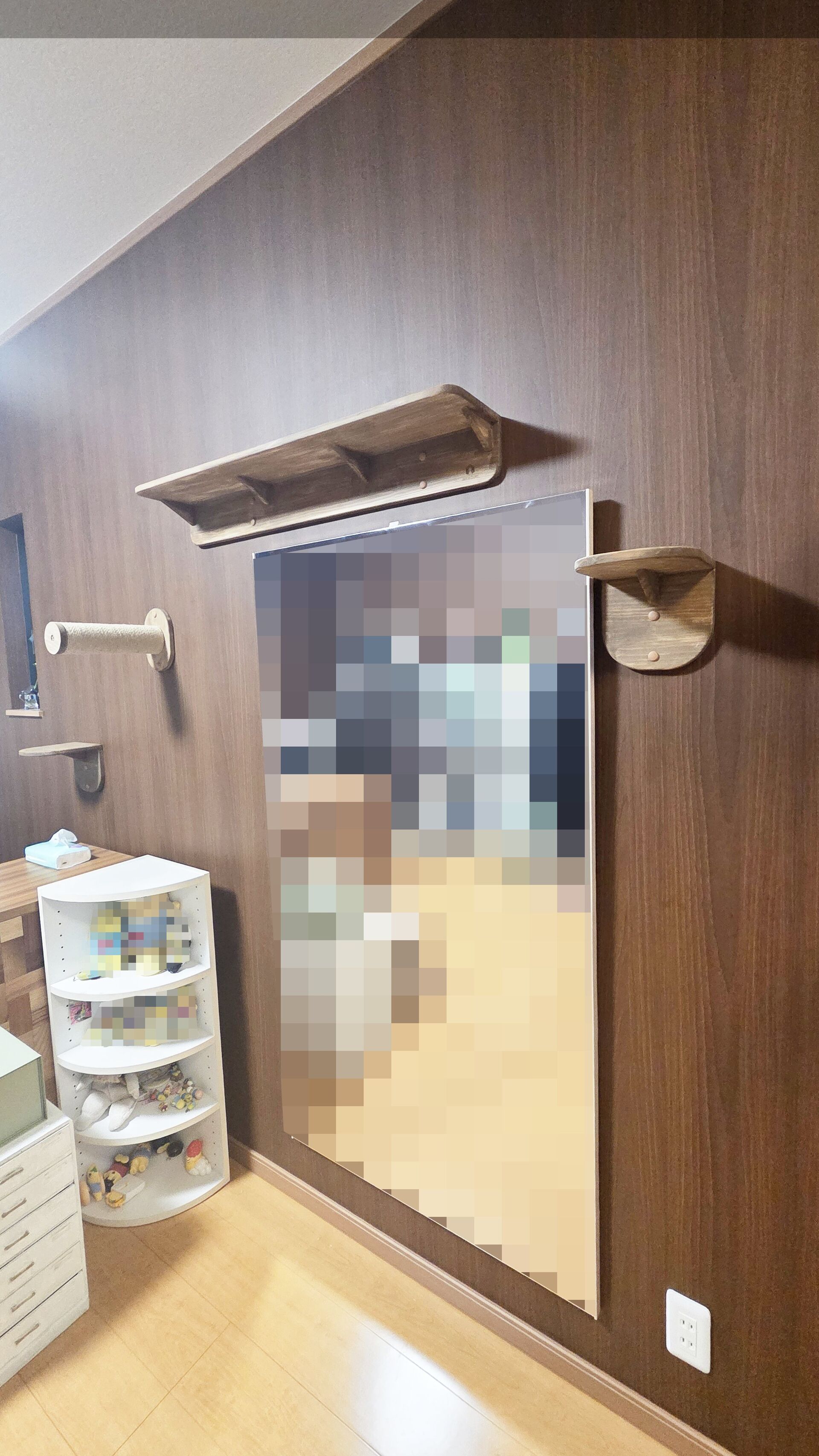 猫さんが喜ぶキャットウォークを市販品で