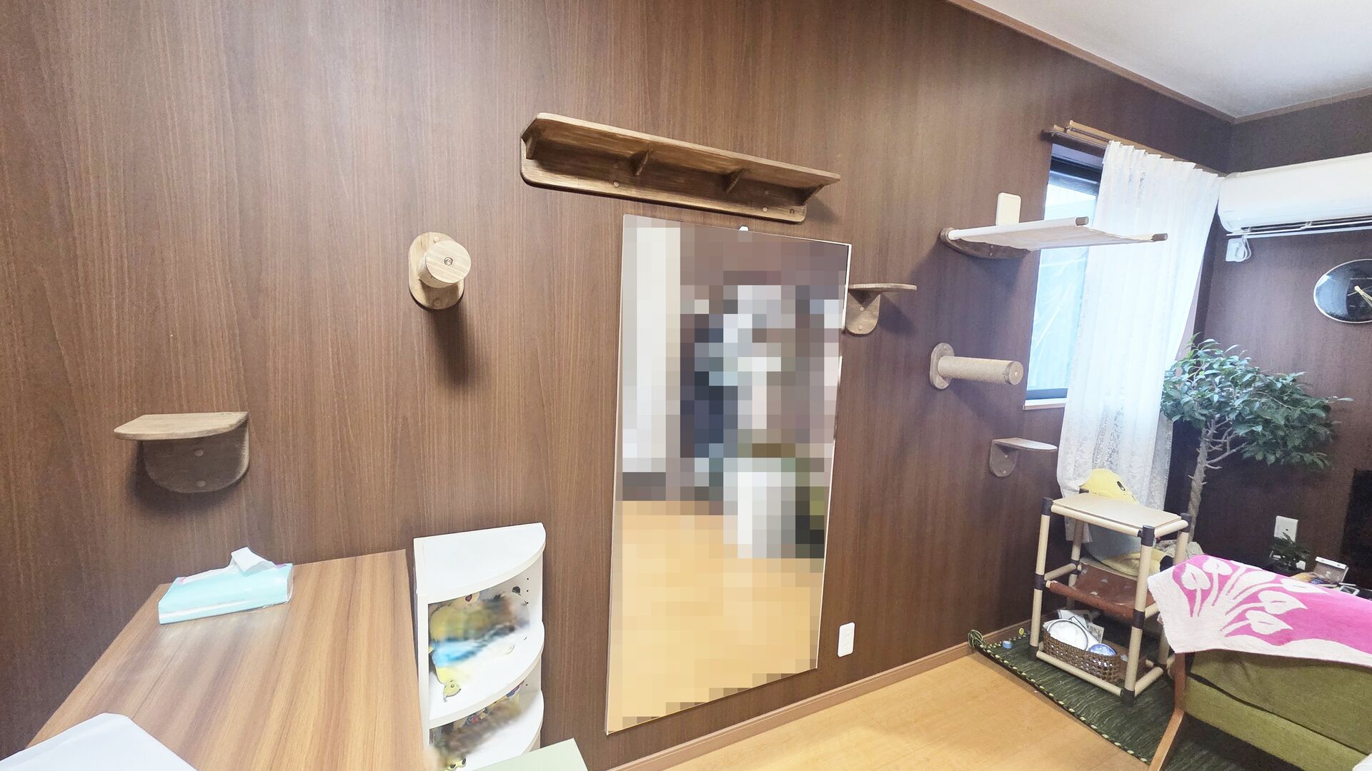 猫さんが喜ぶキャットウォークを市販品で