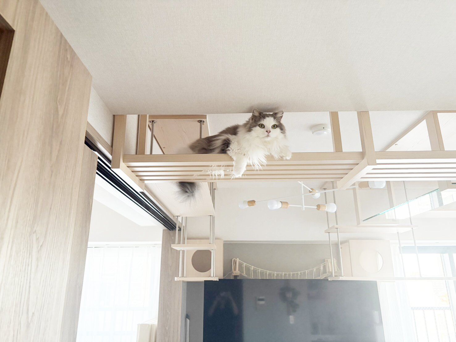 中古マンションの購入を機に猫仕様に
